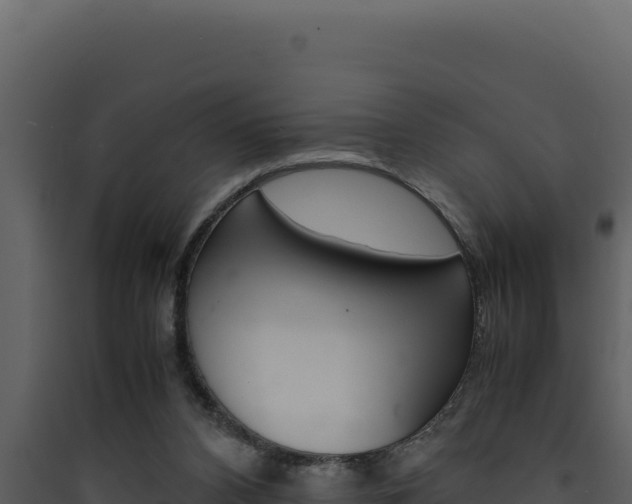 X0000090430112200707131016