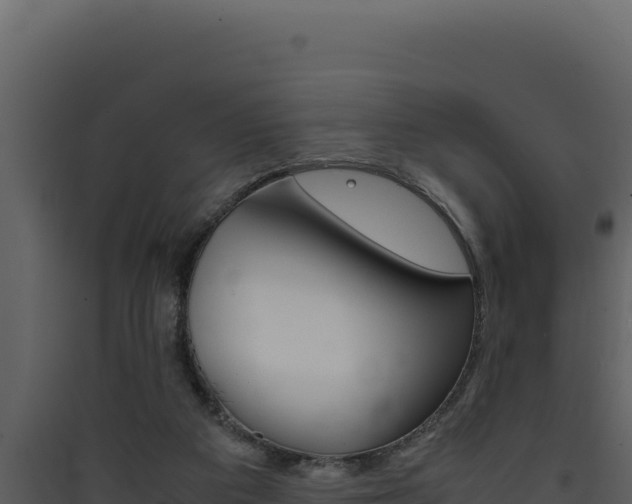 X0000090430113200707131016