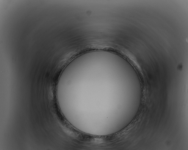 X0000090430114200707131016