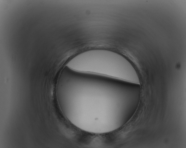 X0000090430115200707131016