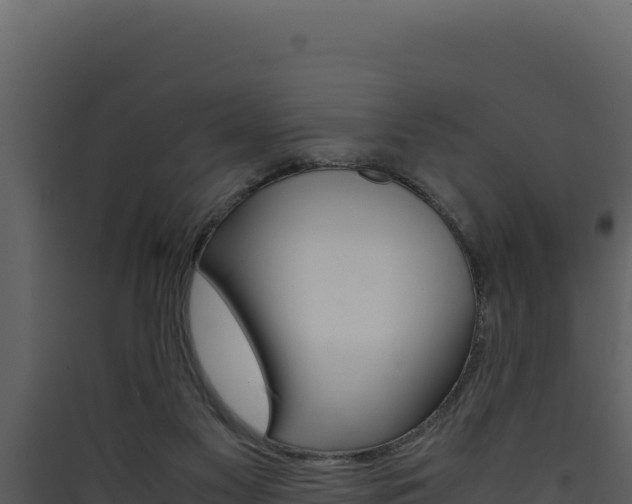 X0000090430117200707131016
