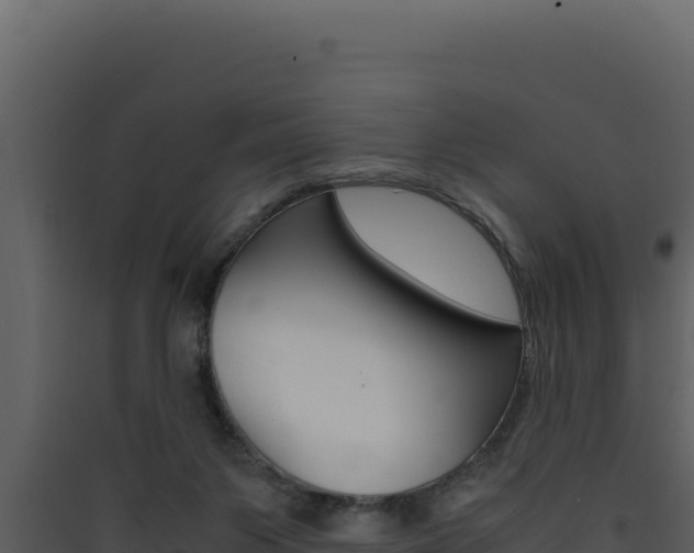 X0000090430119200707131016