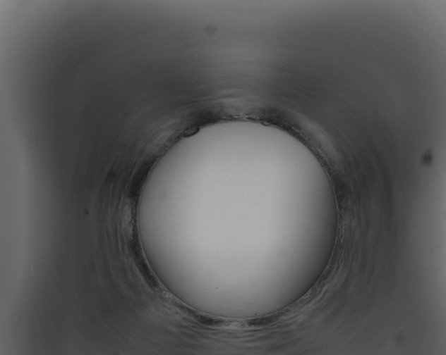 X0000090430121200707131016
