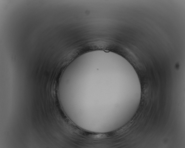 X0000090430122200707131016
