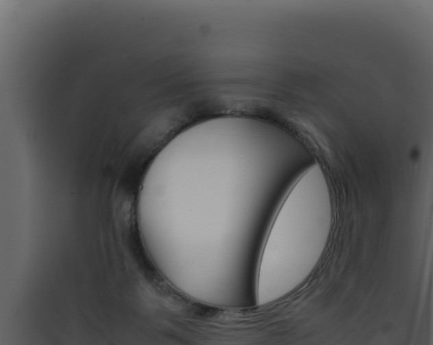 X0000090430123200707131016