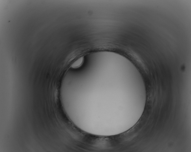 X0000090430124200707131016