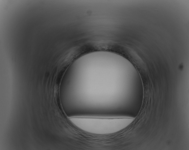 X0000090430125200707131016
