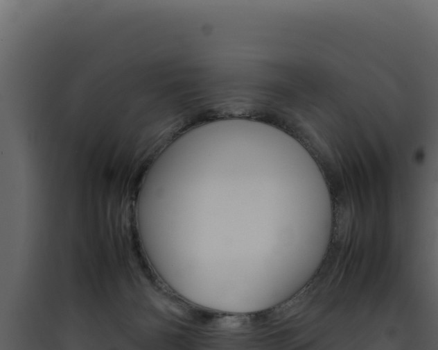 X0000090430126200707131016
