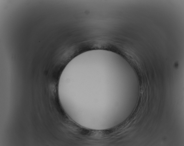 X0000090430127200707131016