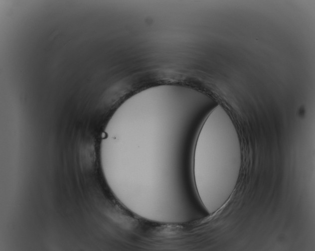 X0000090430128200707131016