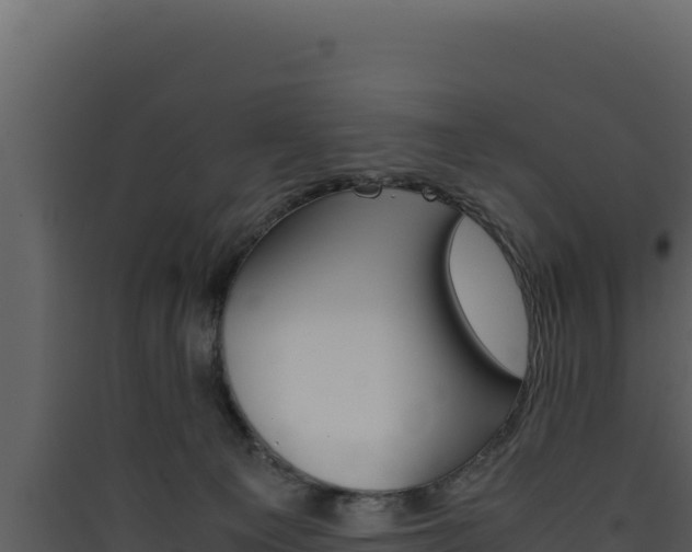 X0000090430129200707131016