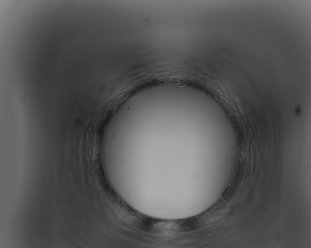 X0000090430133200707131016