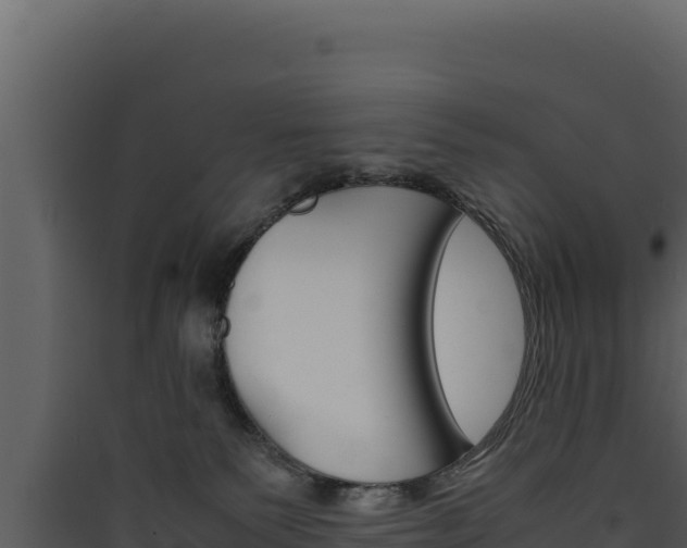X0000090430135200707131016