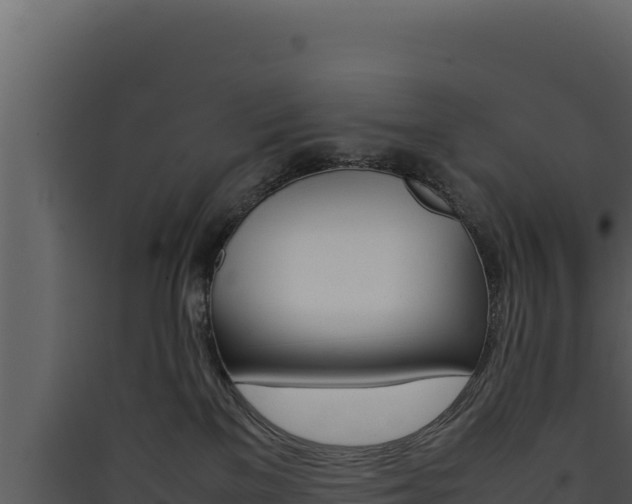 X0000090430137200707131016