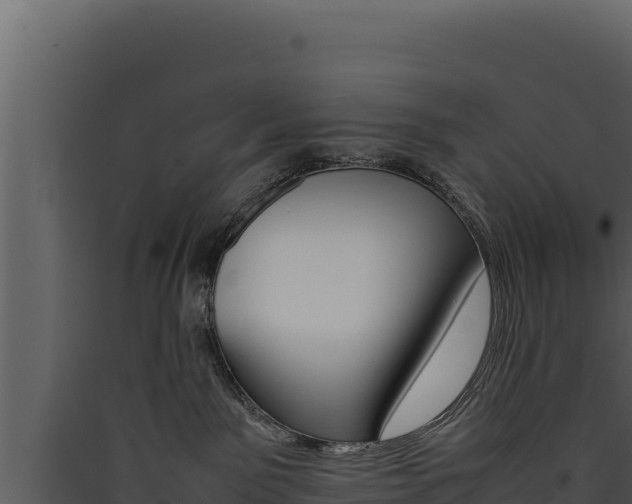 X0000090430141200707131016