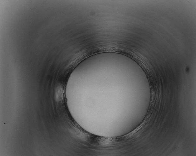 X0000090430142200707131016