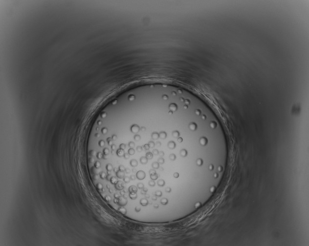 X0000090430145200707131015