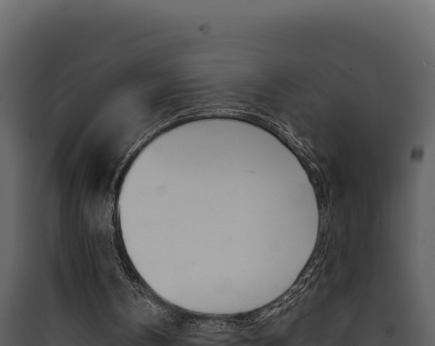X0000090430146200707131015