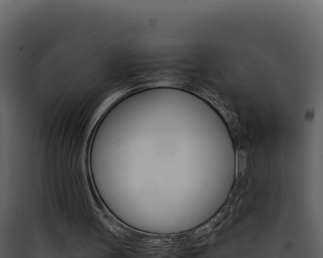 X0000090430147200707131015