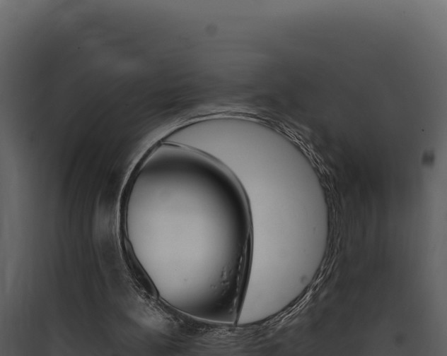 X0000090430148200707131016