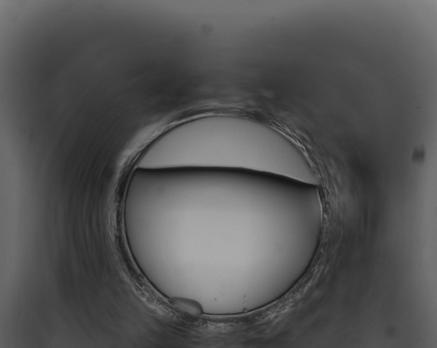 X0000090430149200707131016