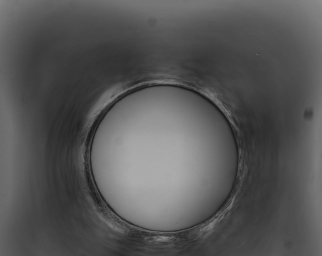 X0000090430151200707131016