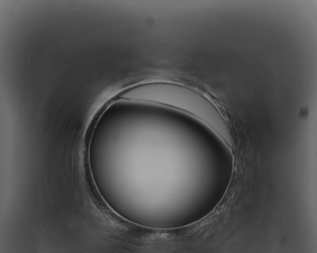 X0000090430152200707131016