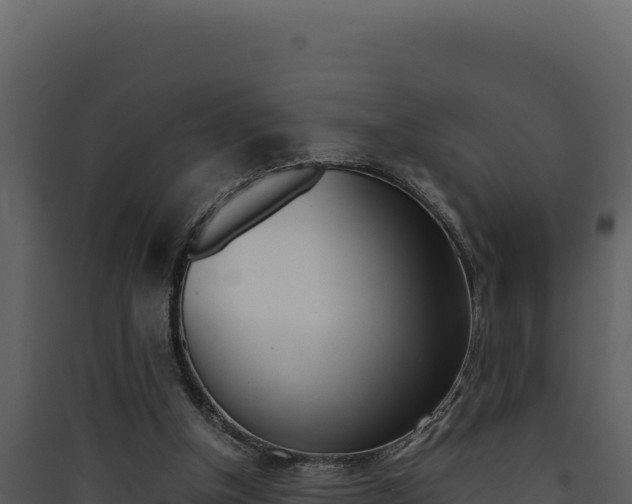 X0000090430154200707131016