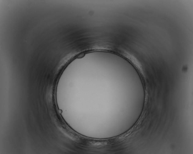 X0000090430155200707131016