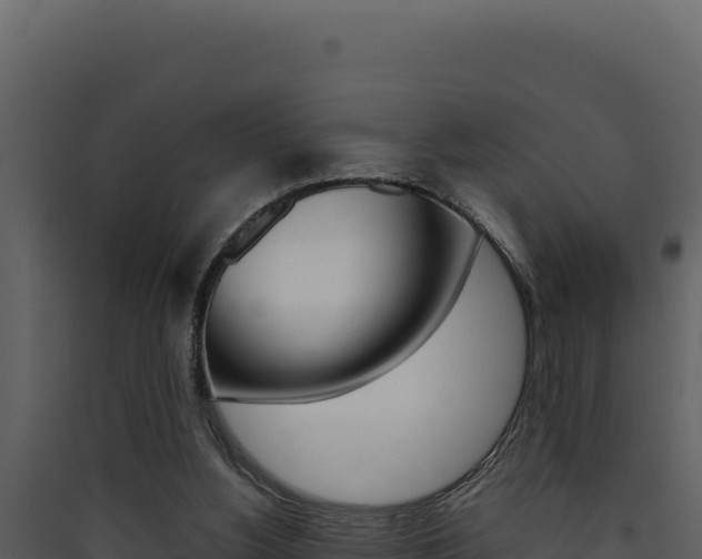 X0000090430156200707131016