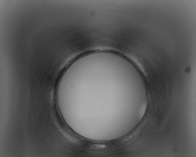 X0000090430159200707131016