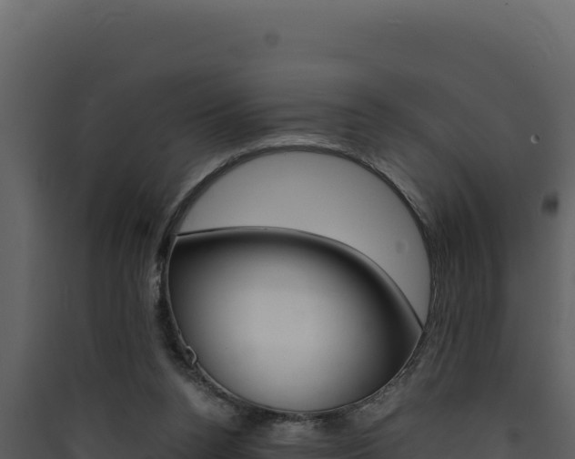 X0000090430160200707131016