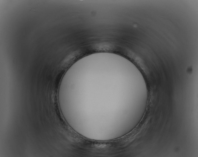 X0000090430161200707131016