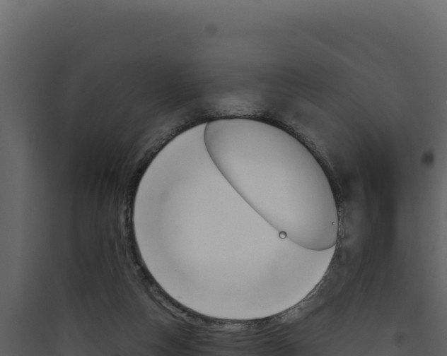 X0000090430162200707131016