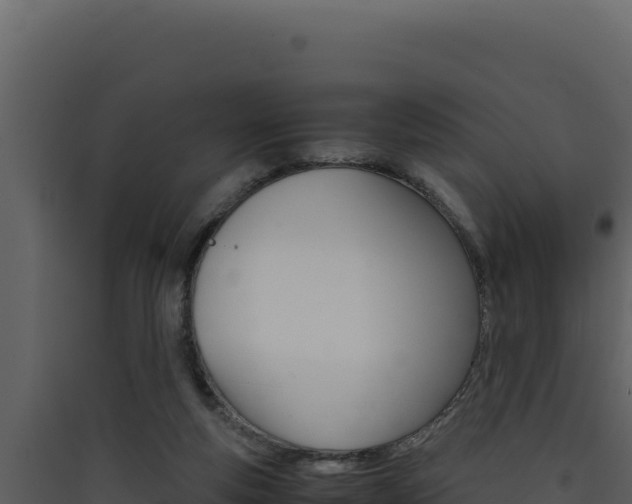 X0000090430163200707131016