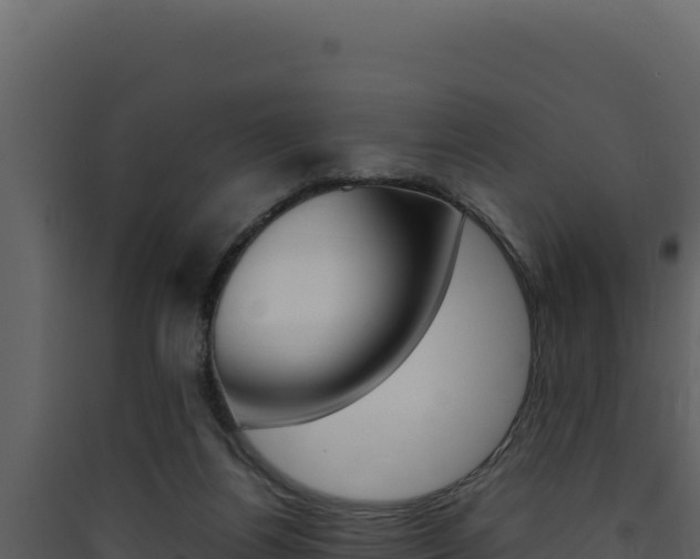 X0000090430164200707131016