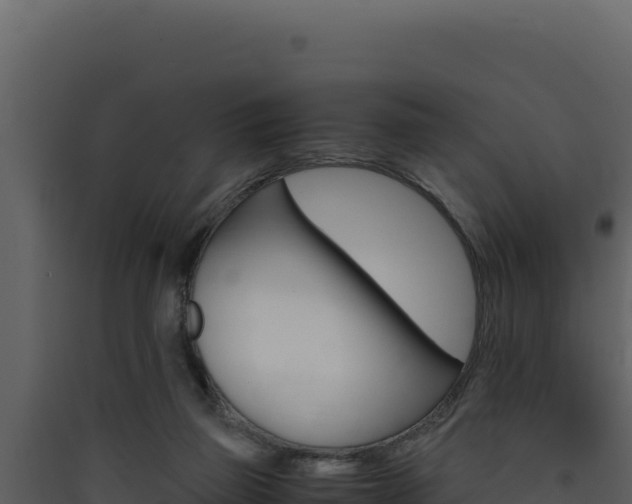 X0000090430165200707131016