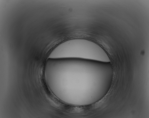 X0000090430166200707131016