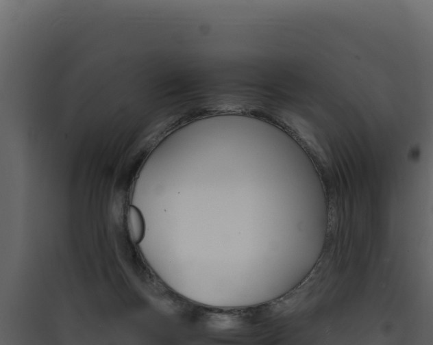 X0000090430167200707131016