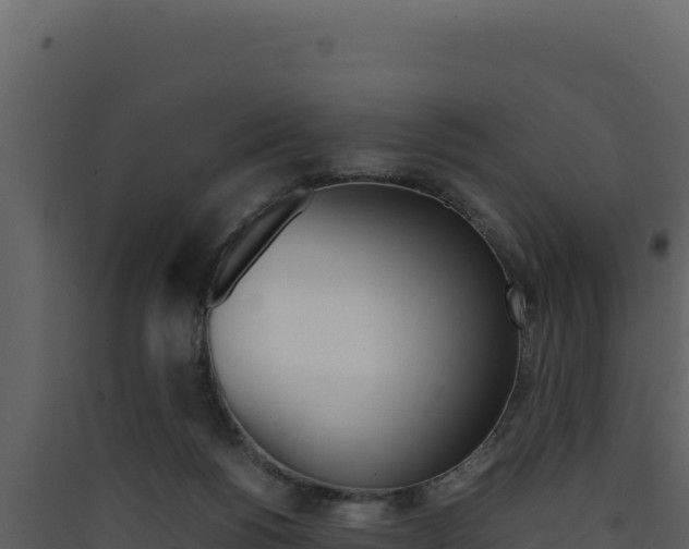 X0000090430168200707131016