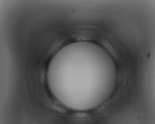 X0000090430169200707131016