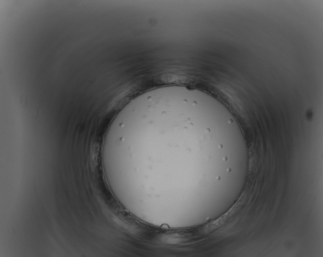 X0000090430171200707131016