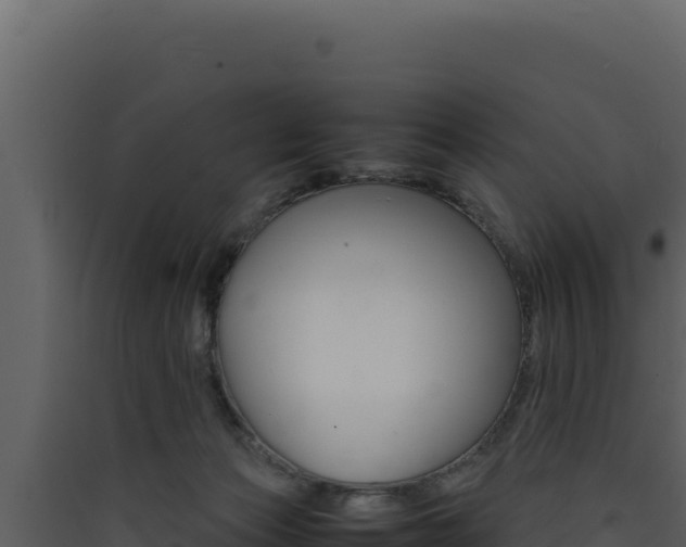 X0000090430173200707131016