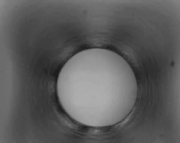 X0000090430174200707131016