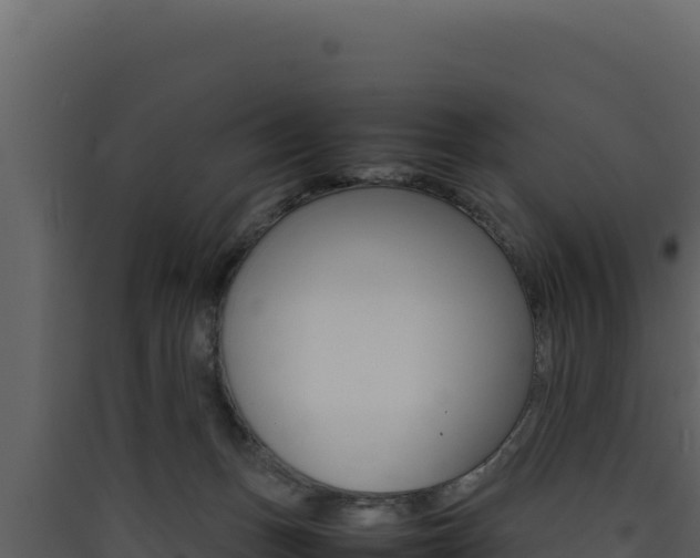 X0000090430175200707131016