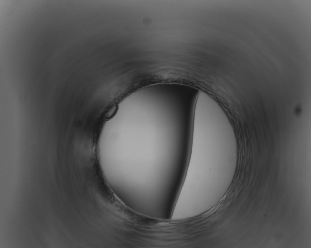X0000090430176200707131016