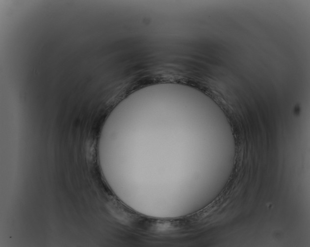 X0000090430177200707131016
