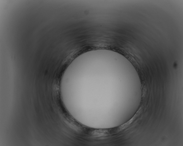 X0000090430179200707131016