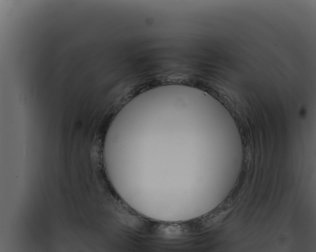 X0000090430181200707131016