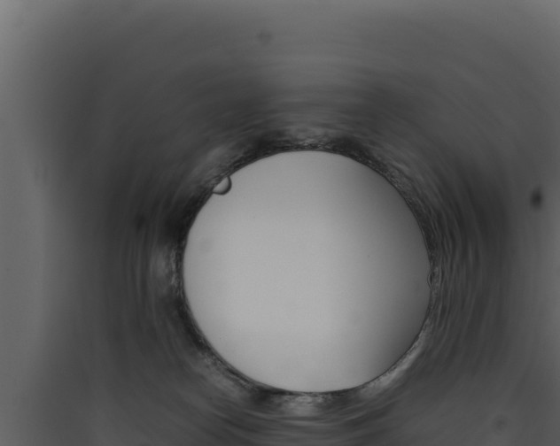 X0000090430182200707131016